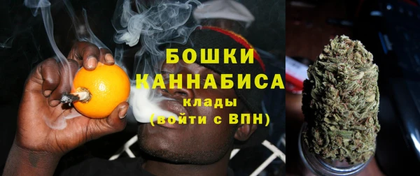 дживик Аркадак