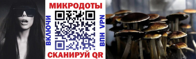 Псилоцибиновые грибы GOLDEN TEACHER как найти закладки Саров